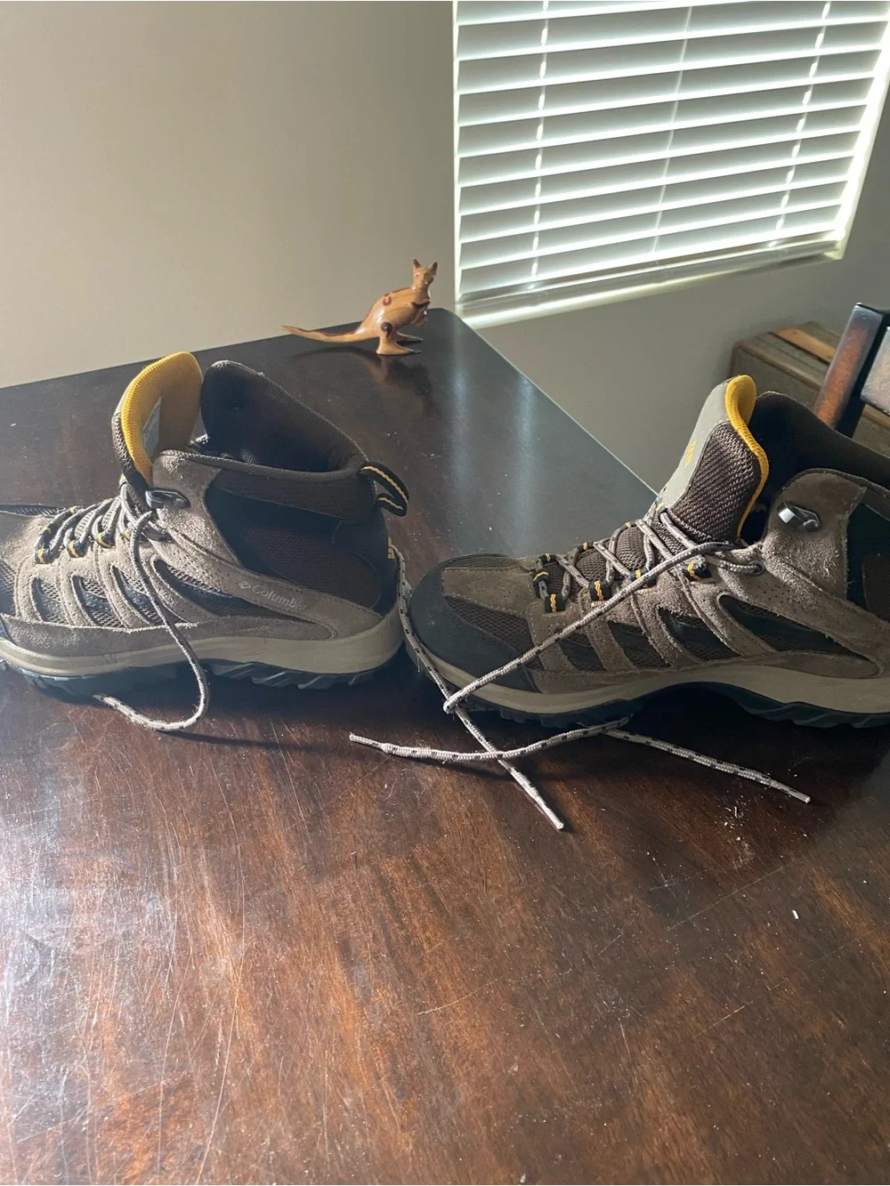 Columbia Brown and Black Men's Hiking Boots